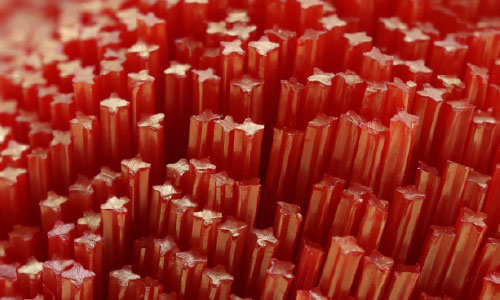 Brush Filament Manufacturer