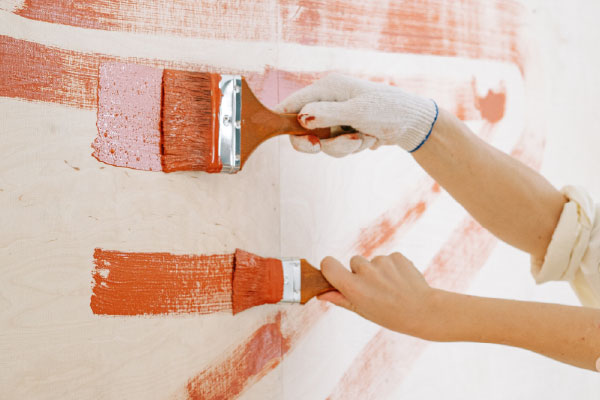 Professional Paint Brush