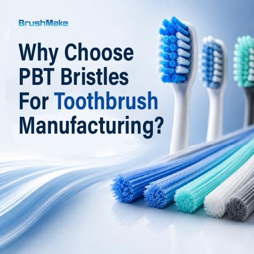 Why Choose PBT Bristles for Toothbrush Manufacturing?
