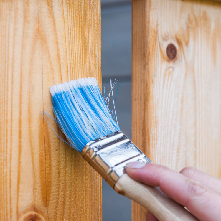 Paint Brush