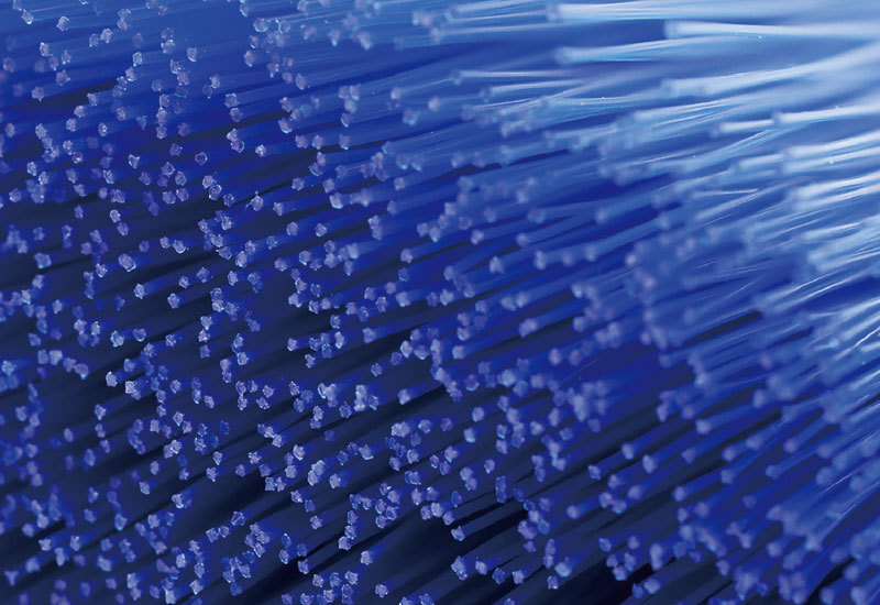 Non-tapered PBT bristles