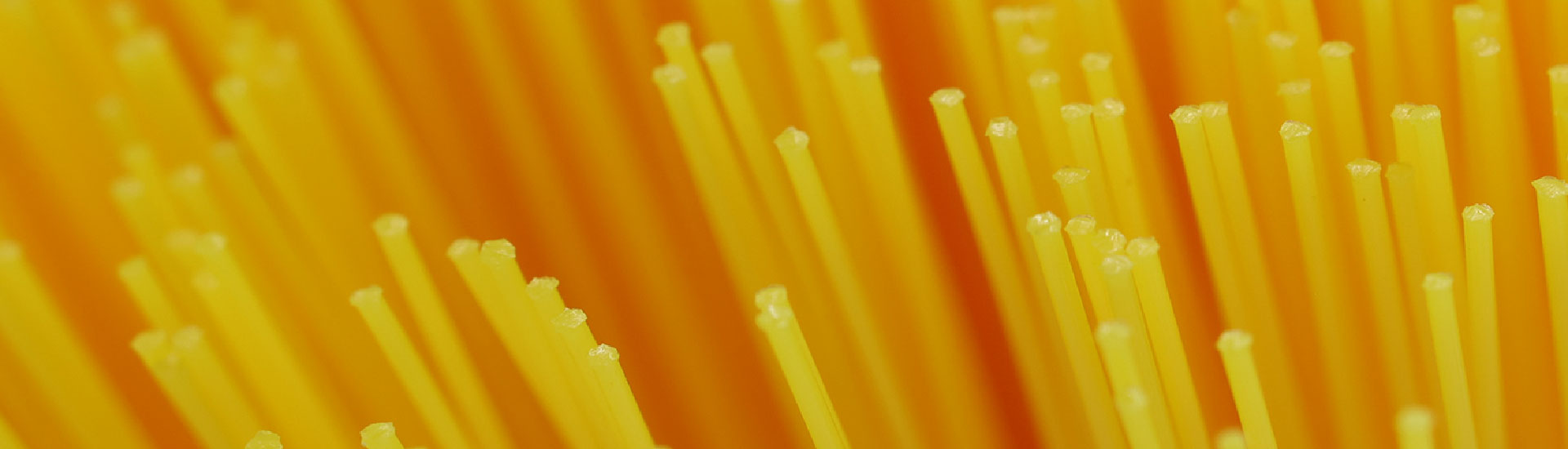Brush filament