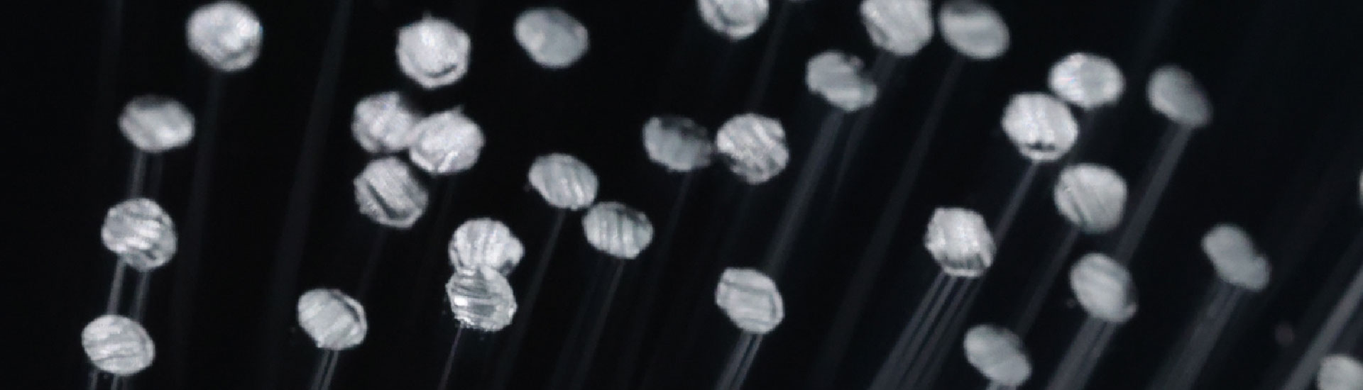Brush filament