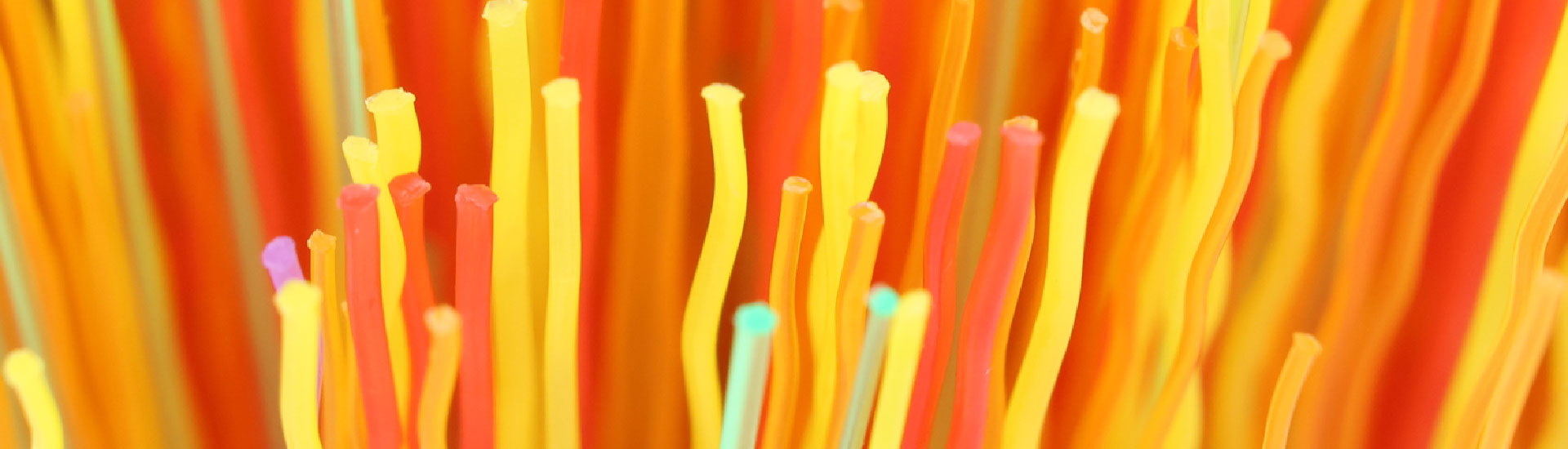 Brush filament