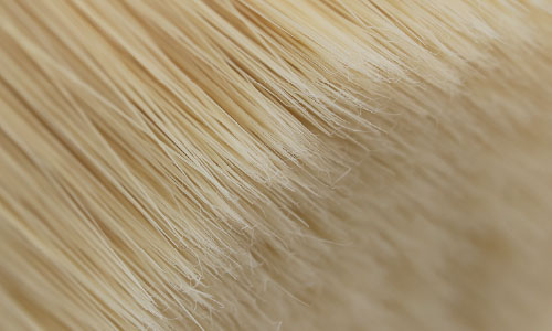 Brush Filament Manufacturer