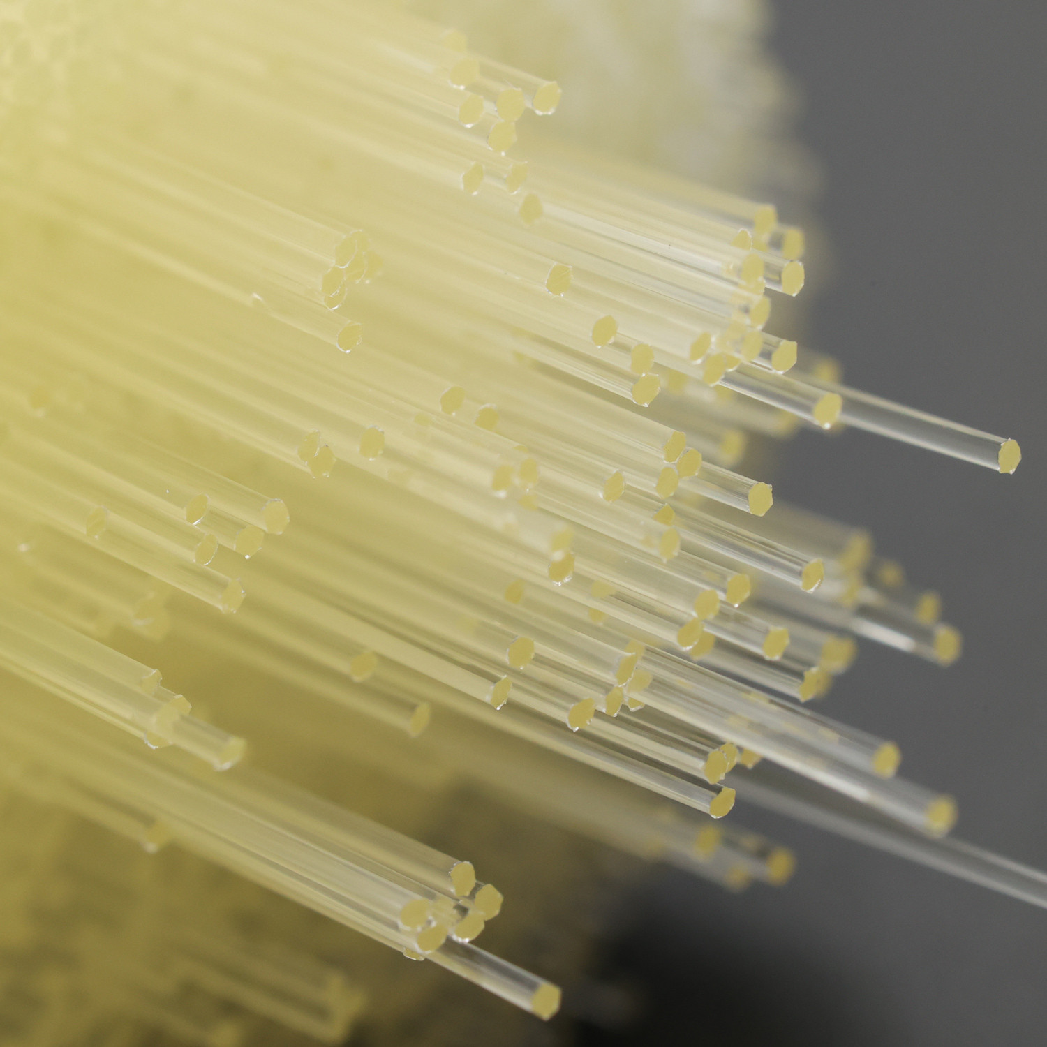 Nylon bristle