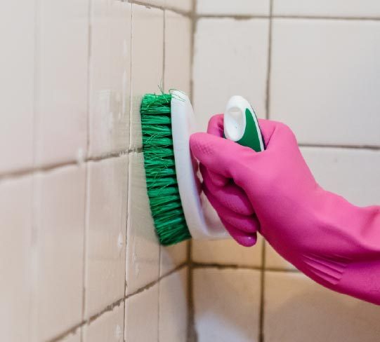 Cleaning Brush Filaments