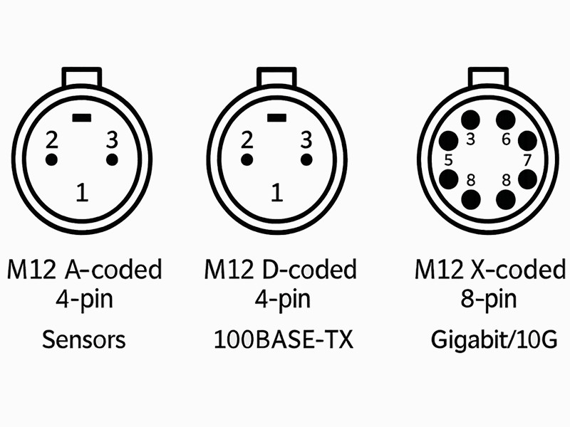 M12 Coding Type Wiring Diagram