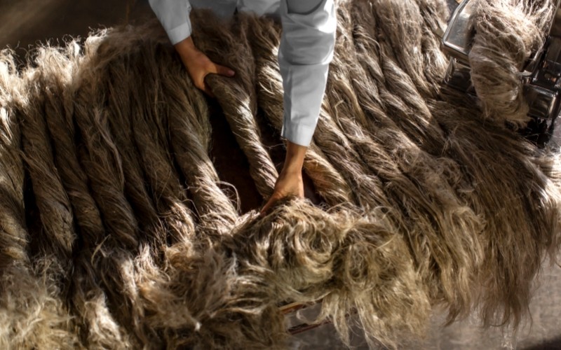 Traditional hand separation of flax fibers