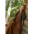 Manufacturer|Linen Extra Long Skirt|Cotton & Linen Blend|Customized Designs