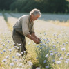 What countries make the best linen?