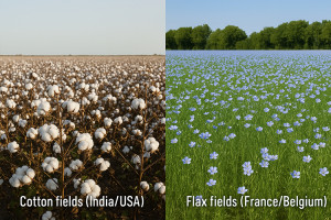 Which is better, linen or cotton?