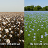 Which is better, linen or cotton?