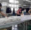 Linenwind Autumn 2026 Preview: New Linen Blends and A/W 2027 Collection Planning for Brands