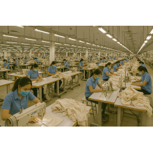 Global Demand for Sustainable Linen Clothing Surges in 2025 — Why More Brands Are Turning to Custom Linen Manufacturers