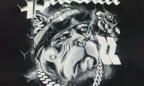 Unveiling the Full Process of White Ink Digital Printing for Streetwear Customization