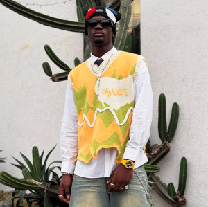 Custom Unisex's Knitted Sweaters | Multi Color Embroidery Logo V Neck Sleeveless Top Streetwear