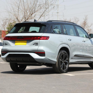 Used Audi Q6 petrol cars Midsize SUV 2024 2.0 T Audi export