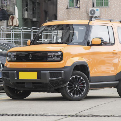 Bao jun yep electric auto 2024 Small SUV