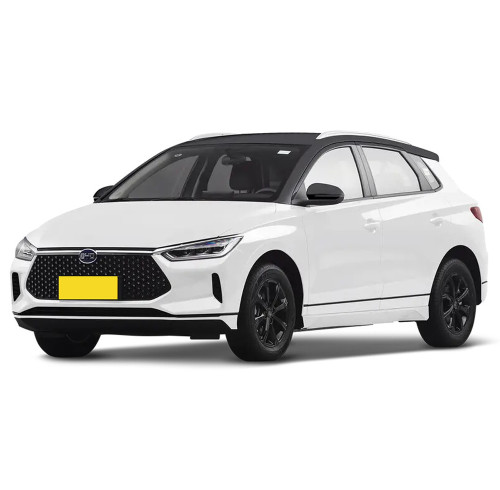 BYD e2 ev electric auto Compact Car 2024