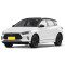 BYD e2 ev electric auto Compact Car 2024