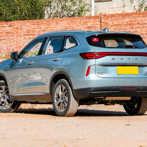 Haval H6 PHEV electric auto 2022 Plug-in Hybrid Compact SUV Electric Vehicles