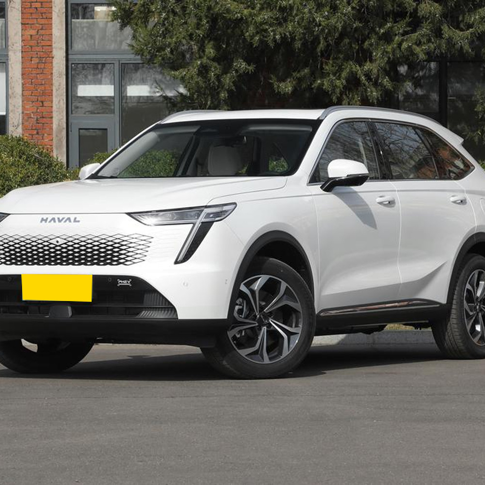 Haval xiaolong MAX-1