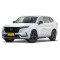 Honda CR-V PHEV electric auto Compact SUV 2023Honda