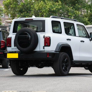 Tank 300 Gasoline Petrol Vehicle 2023 compact SUV