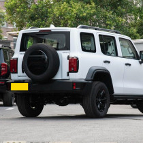 Tank 300 Gasoline Petrol Vehicle 2023 compact SUV