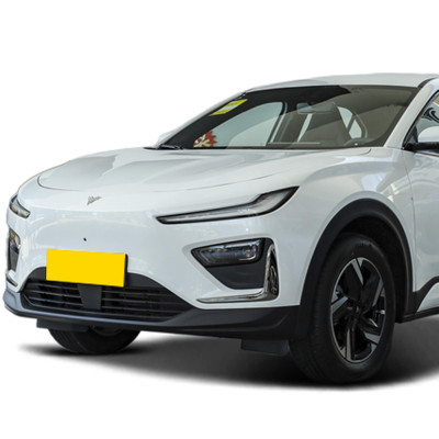 Neta X electric auto 2024  compact SUV