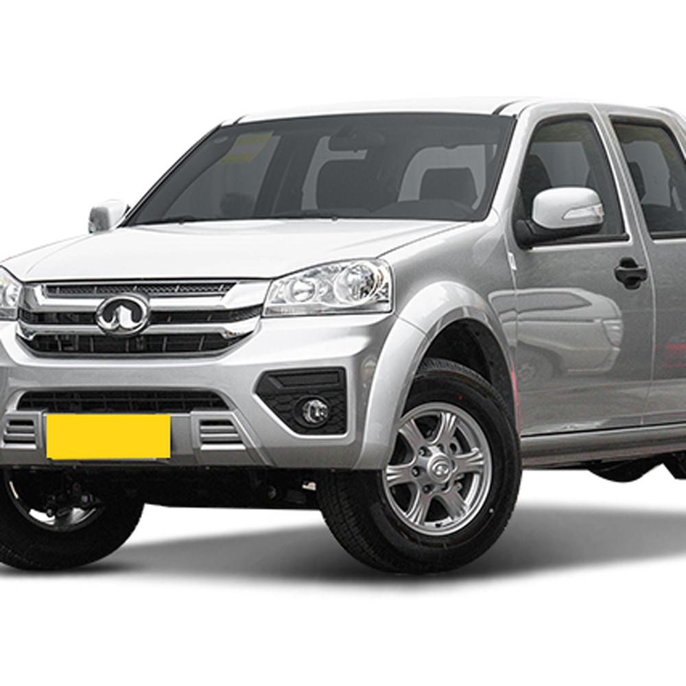 Dongfeng rich-1