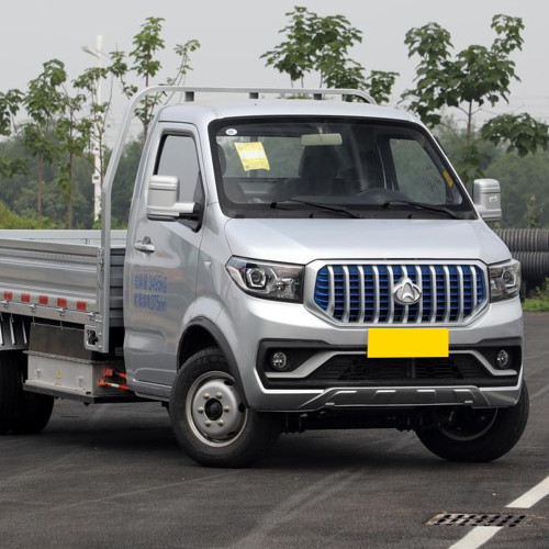 Changan shenqi T30 EV electric auto 2024 Mini Truck