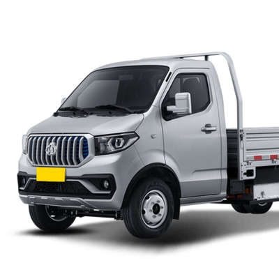 Changan shenqi T30 EV electric auto 2024 Mini Truck