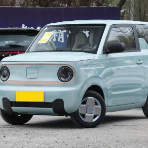 Minivan Geely panda ev Geely electric auto 2024+