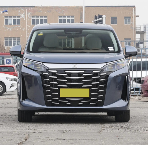 2025 BYD XIA DM-i ev Mid-large MPV PHEV