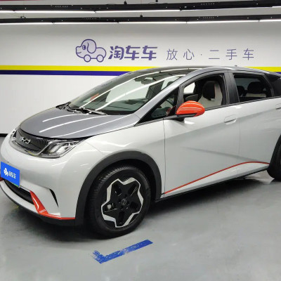 Used BYD Dolphin 2021 5 Seats White Small Electric Vehicle