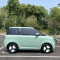 used Changan Lumin 2022 210km Range Pure Electric Vehicle Auto Green Minicar