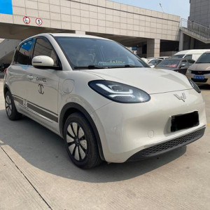 Used Auto Wuling Bingo 2024 333KM Pure Electric Vehicle Minicar