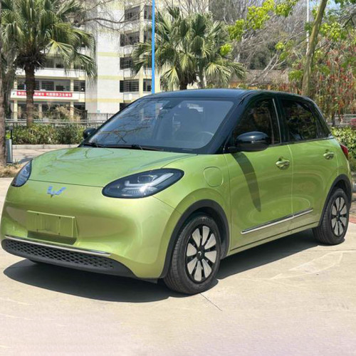 Used Auto Wuling Bingo 2023 333KM Avocado Green Pure Electric Vehicle Minicar