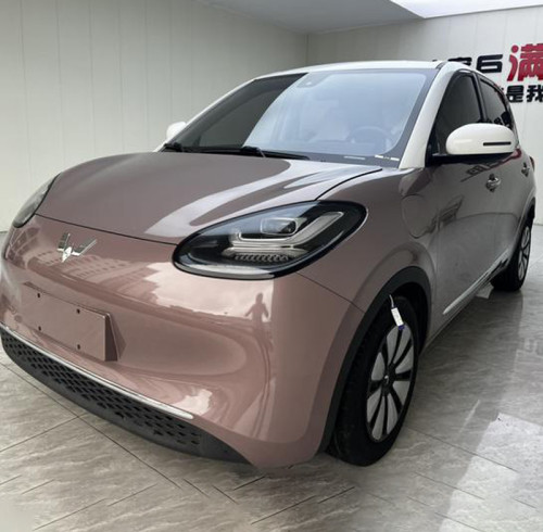Used Auto Wuling Bingo 2023 333KM Pure Electric Vehicle Minicar