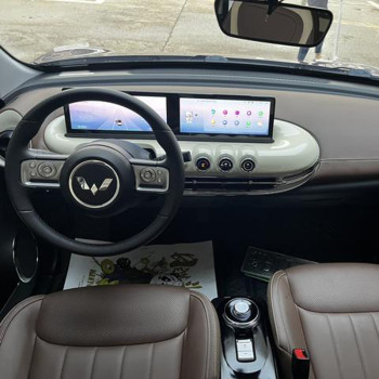 Used Auto Wuling Bingo 2023 333KM Pure Electric Vehicle Minicar