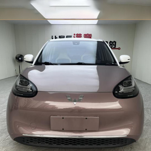 Used Auto Wuling Bingo 2023 333KM Pure Electric Vehicle Minicar
