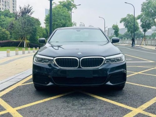 Used BMW 5 Series 2020 530Li 2.0T Mid-size Petrol Car