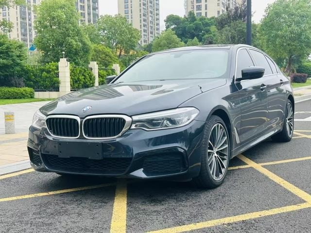 Used BMW 5 Series 2020 530Li 2.0T Mid-size Petrol Car