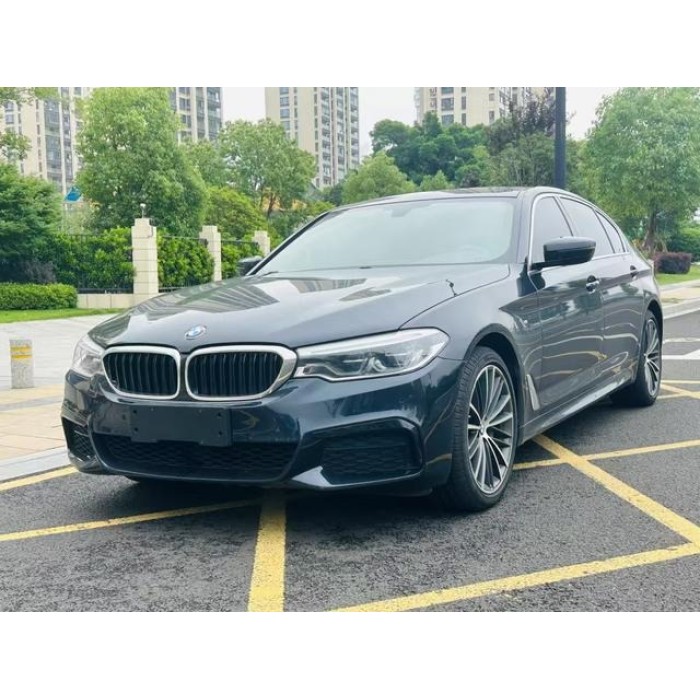 Used BMW 5 Series 2020 530Li 2.0T Mid-size Petrol Car