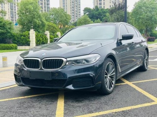 Used BMW 5 Series 2020 530Li 2.0T Mid-size Petrol Car
