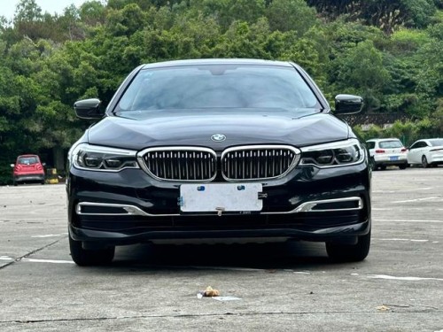 Used BMW 5 Series 2020 530Li 2.0T Mid-size Petrol Car