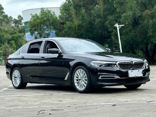 Used BMW 5 Series 2020 530Li 2.0T Mid-size Petrol Car