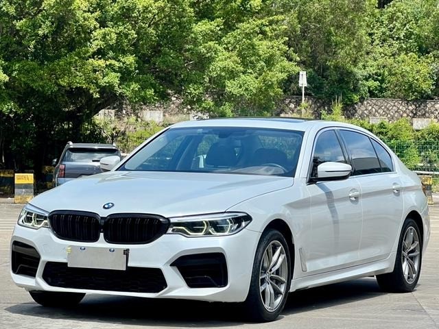 Used BMW 5 Series 2020 530Li 2.0T Mid-size Petrol Car